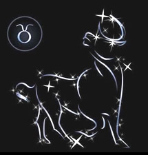 ţ