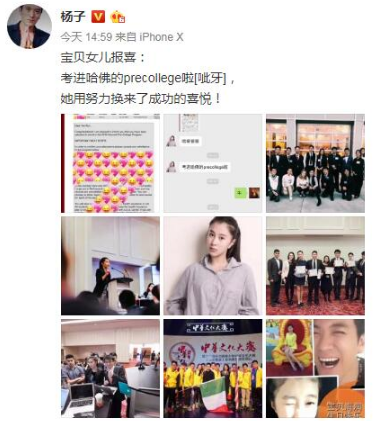 杨子恭喜女儿考进哈佛预科生:用努力换来成功喜悦