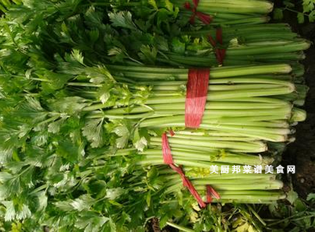 健康减肥蔬菜食谱大全,用蔬菜健康瘦身 美容护肤网