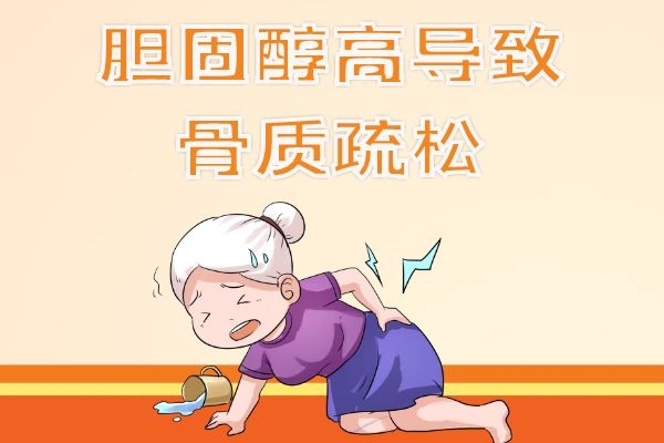 骨质疏松 骨质疏松