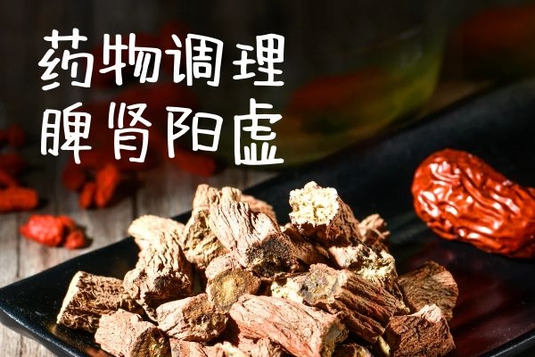 药物调理 药物调理