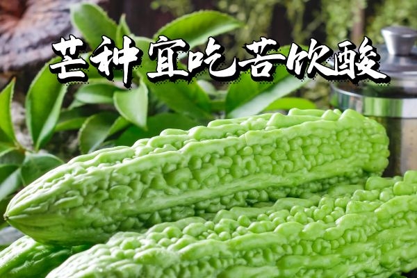 芒种宜吃苦饮酸 芒种宜吃苦饮酸