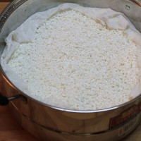 【自制甜酒酿】传说能够丰胸养颜古早味甜品的做法图解2